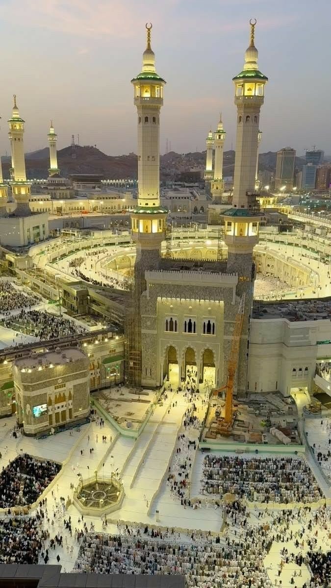 عارف