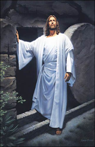GoodShepherd