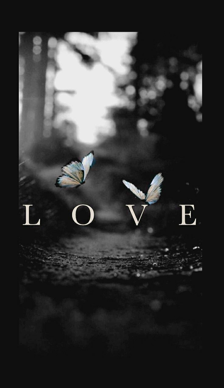 Mohabbat