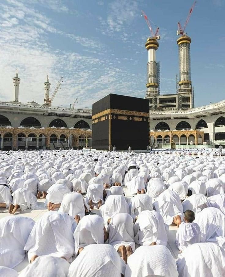 فیصل