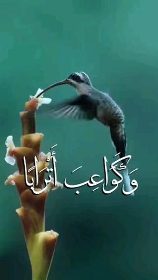 बिलाल