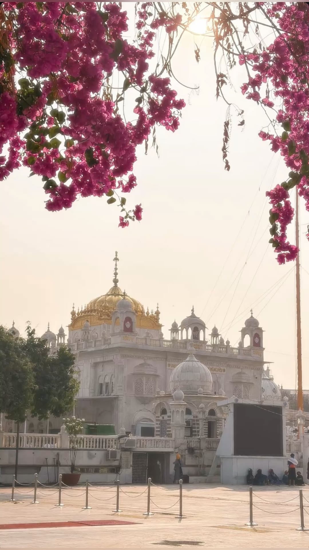 राजविंदर