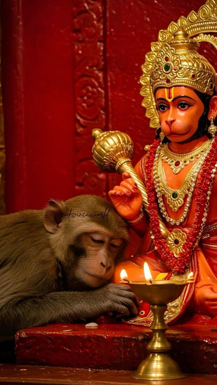 Vidyavaan