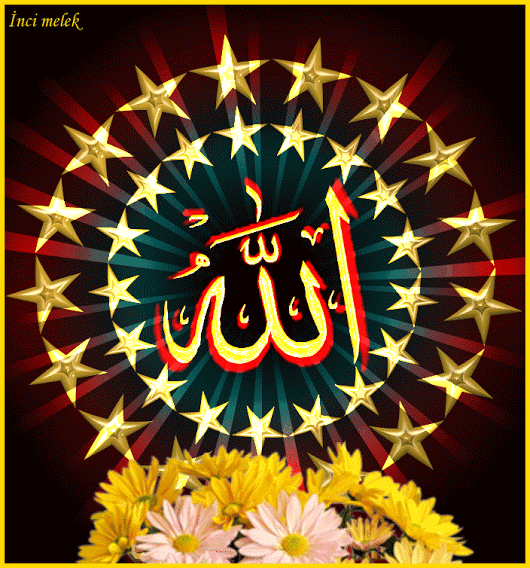 انور