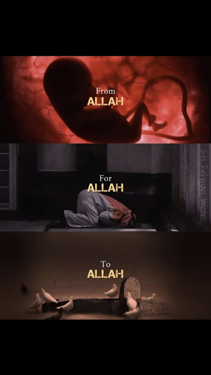 Zainab