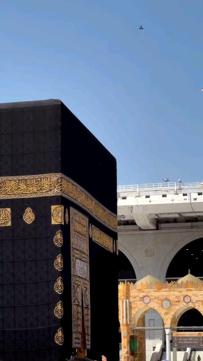 राशिद