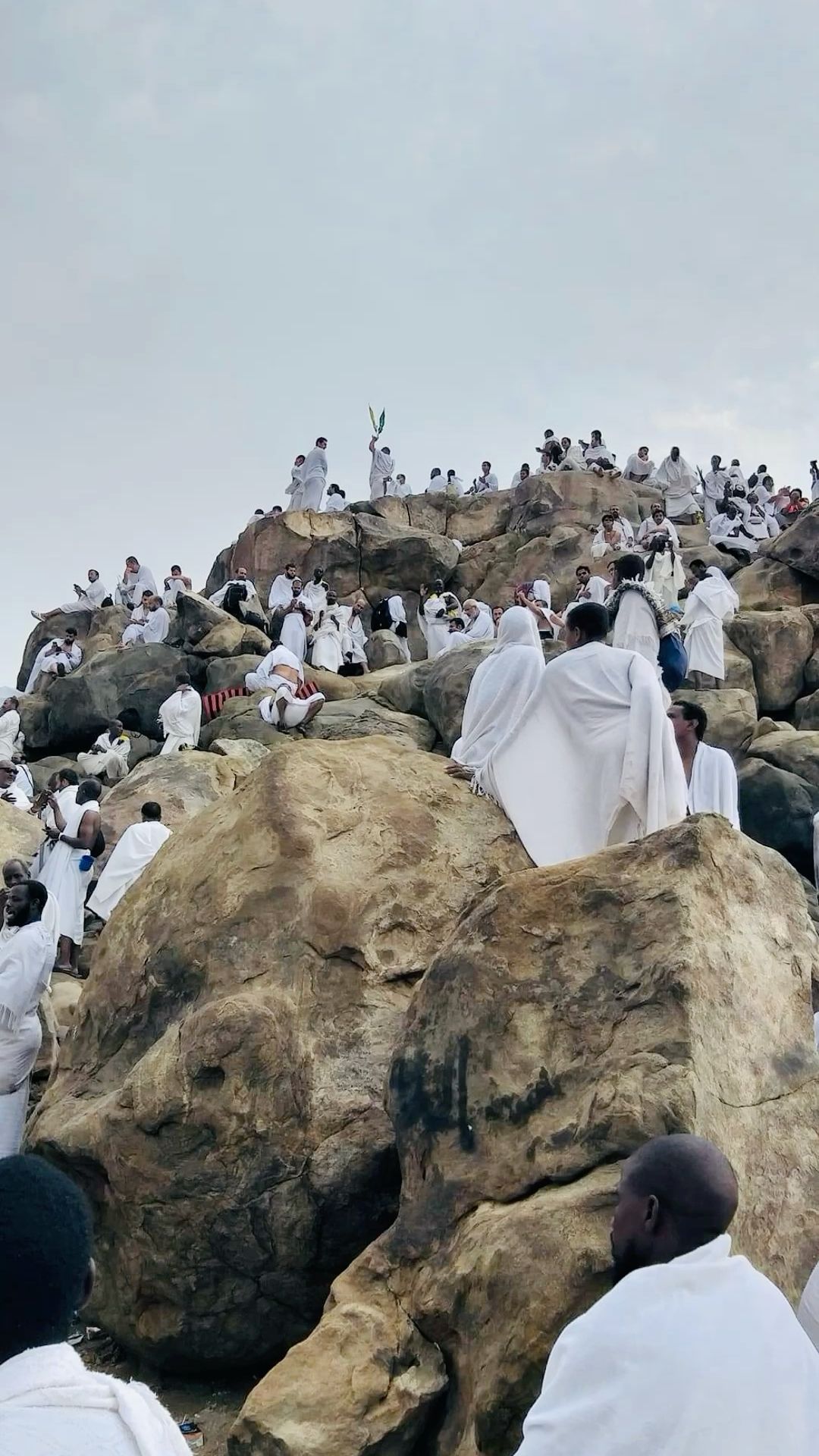 राबिया