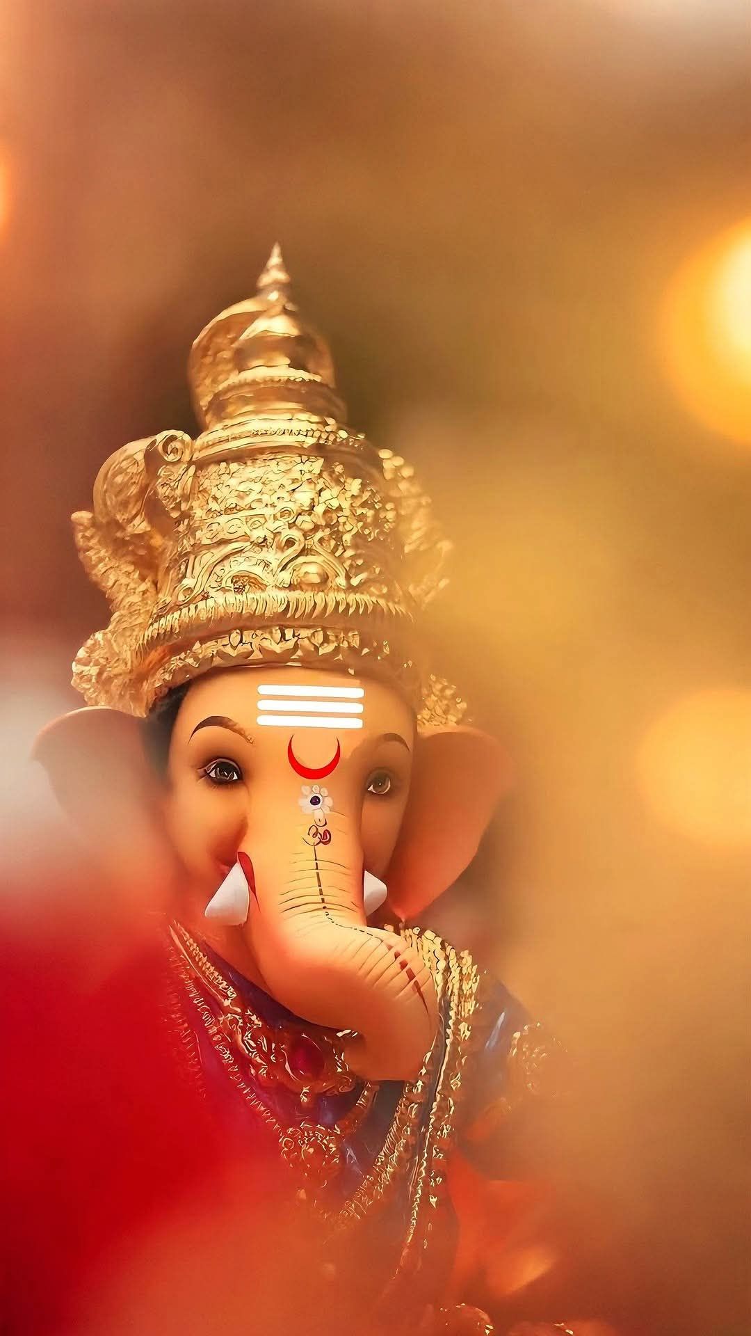 राजीवलोचन