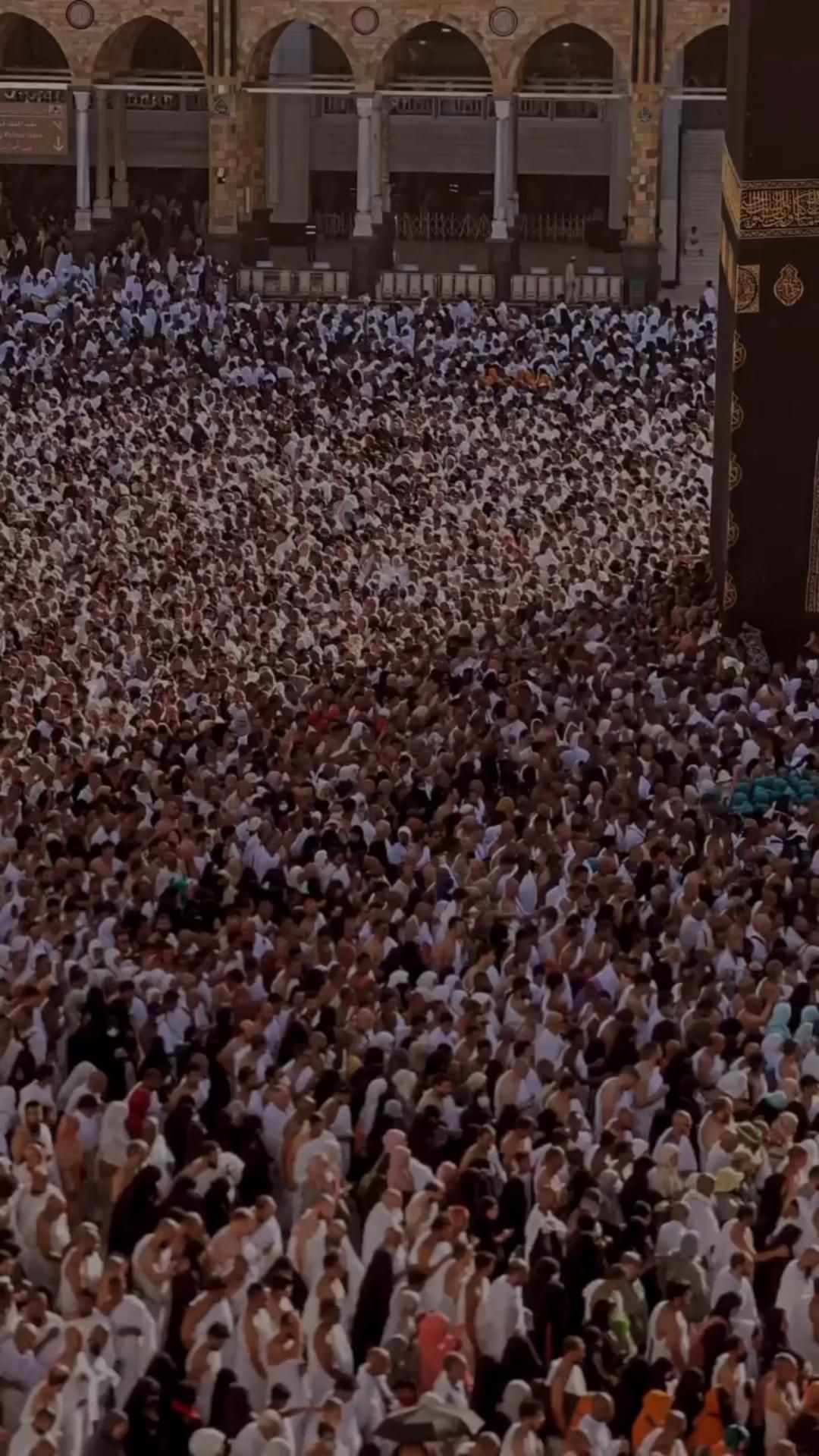 زینب