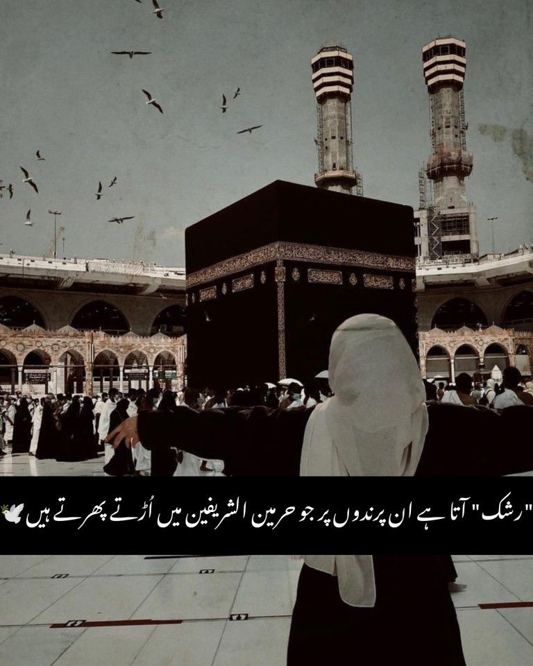 یوسف