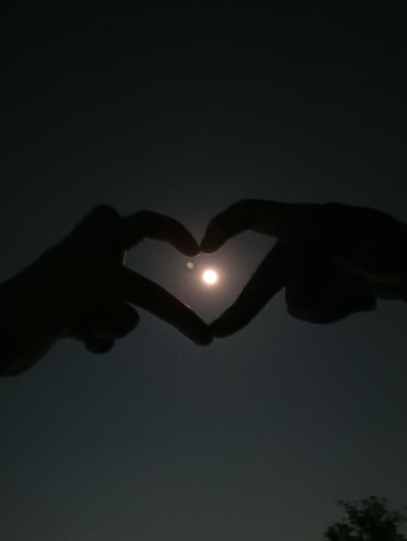 Ishq