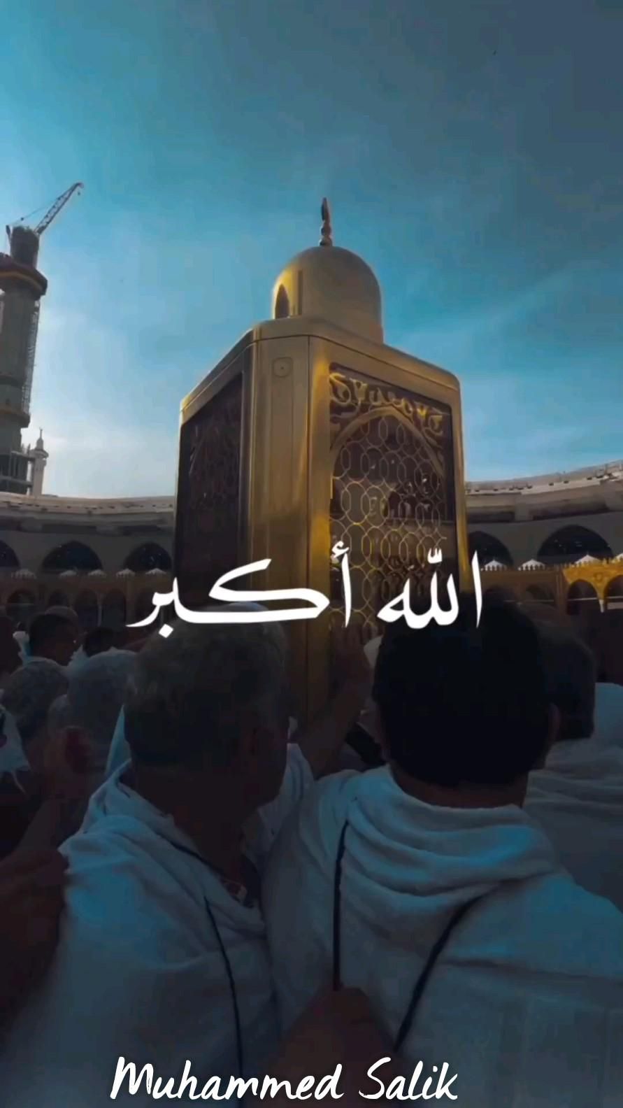 طارق