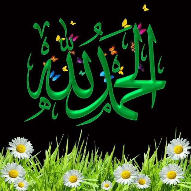 طارق