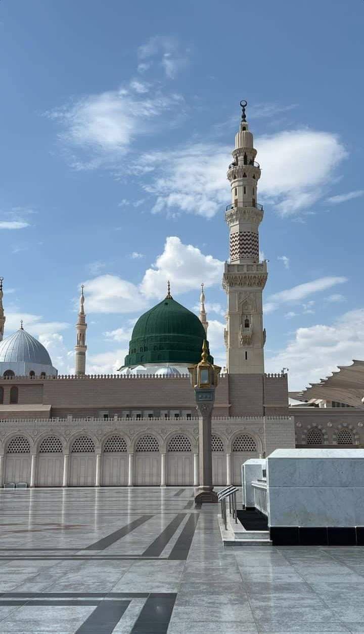 طارق
