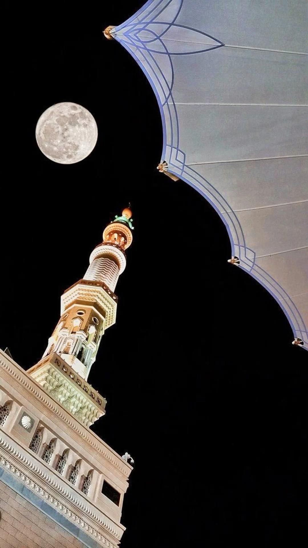 طارق