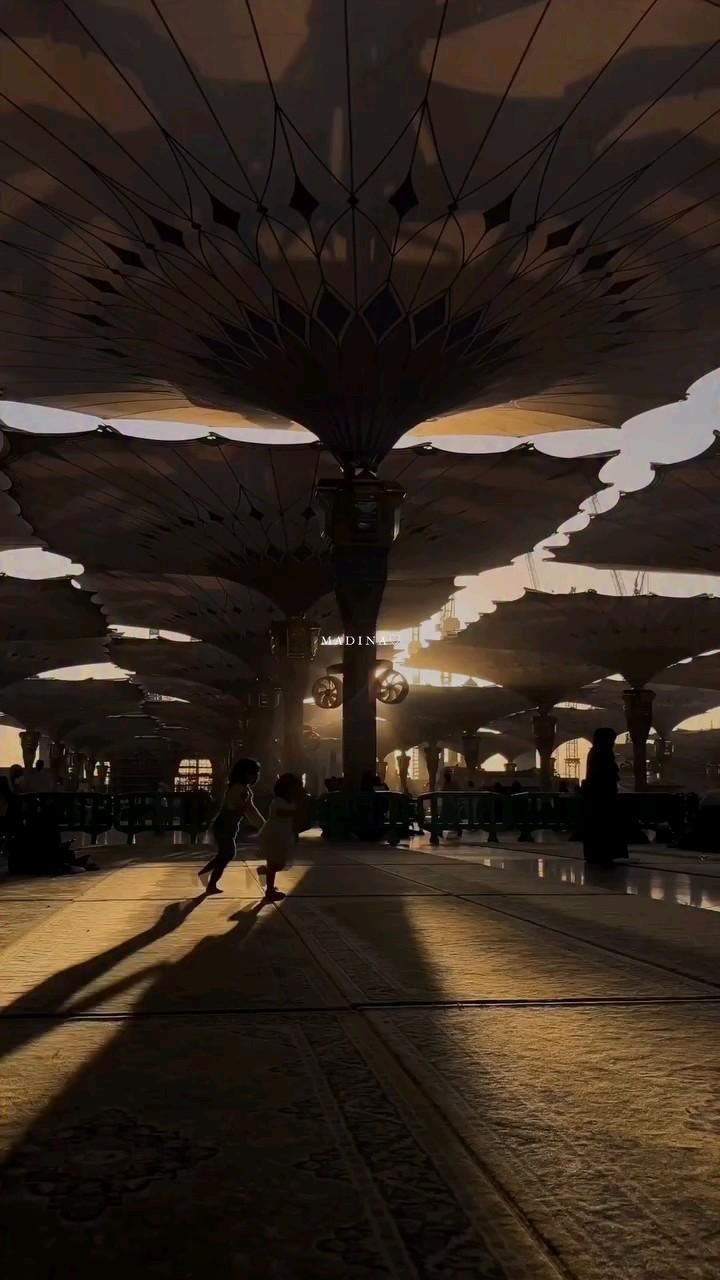 طارق