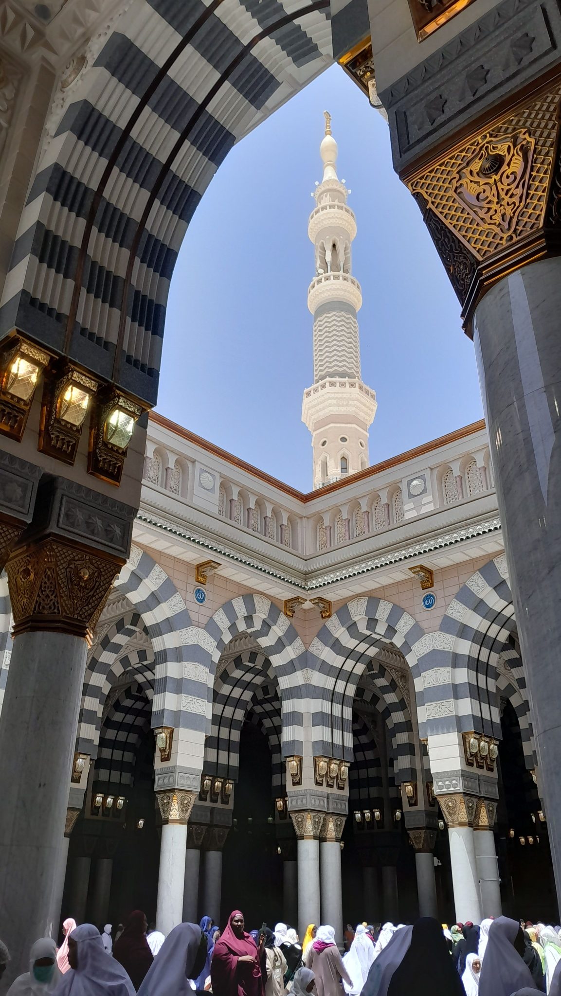 طارق