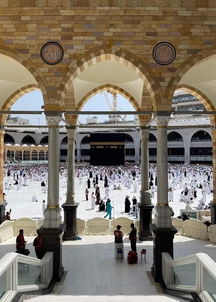 دانش