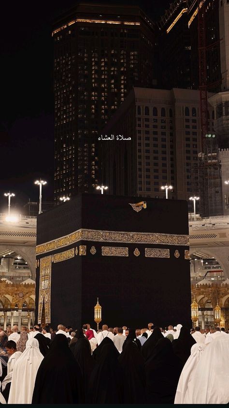 دانش