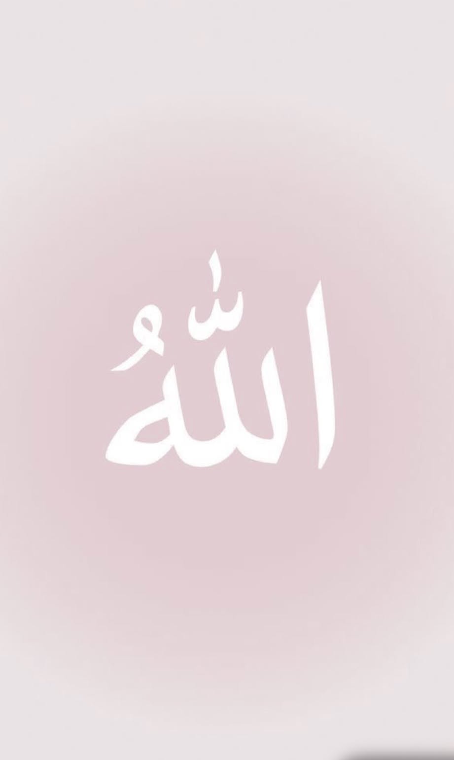 دانش