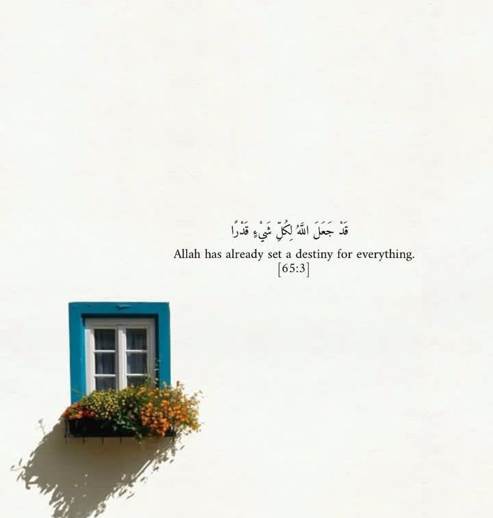 دانش