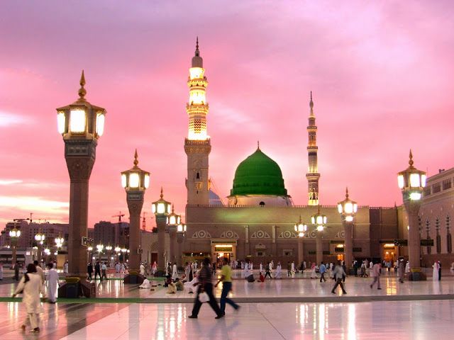 دانش