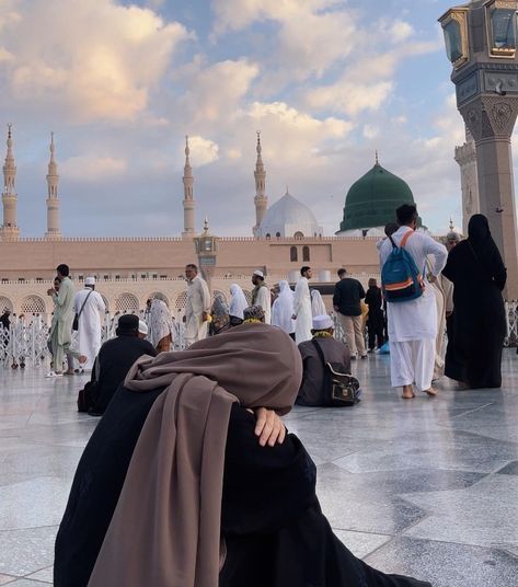 دانش