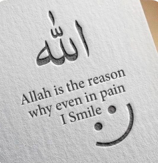 دانش