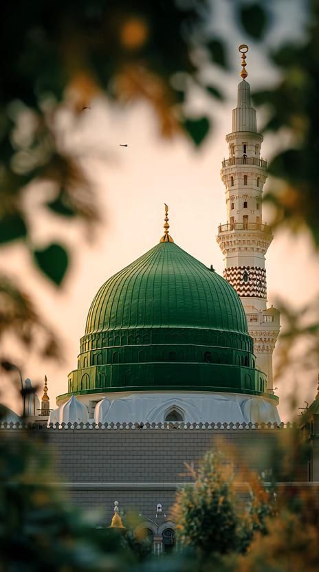 دانش