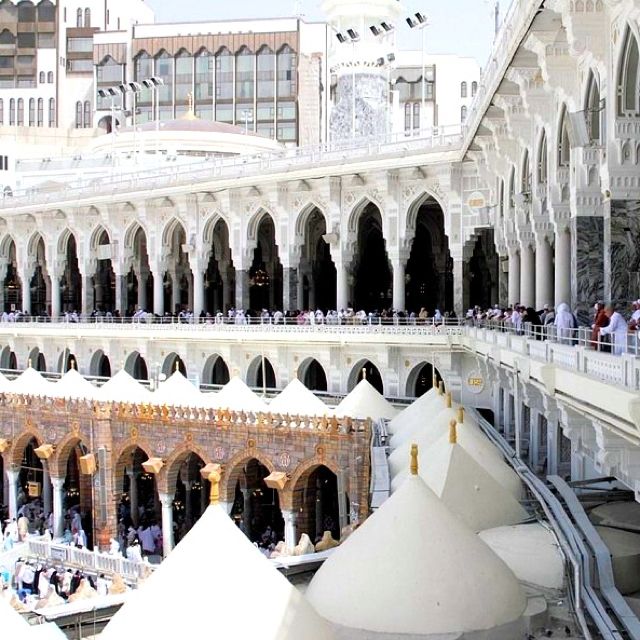 الینا