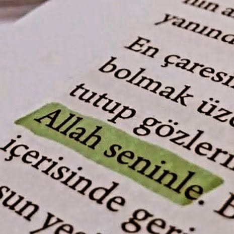 الینا