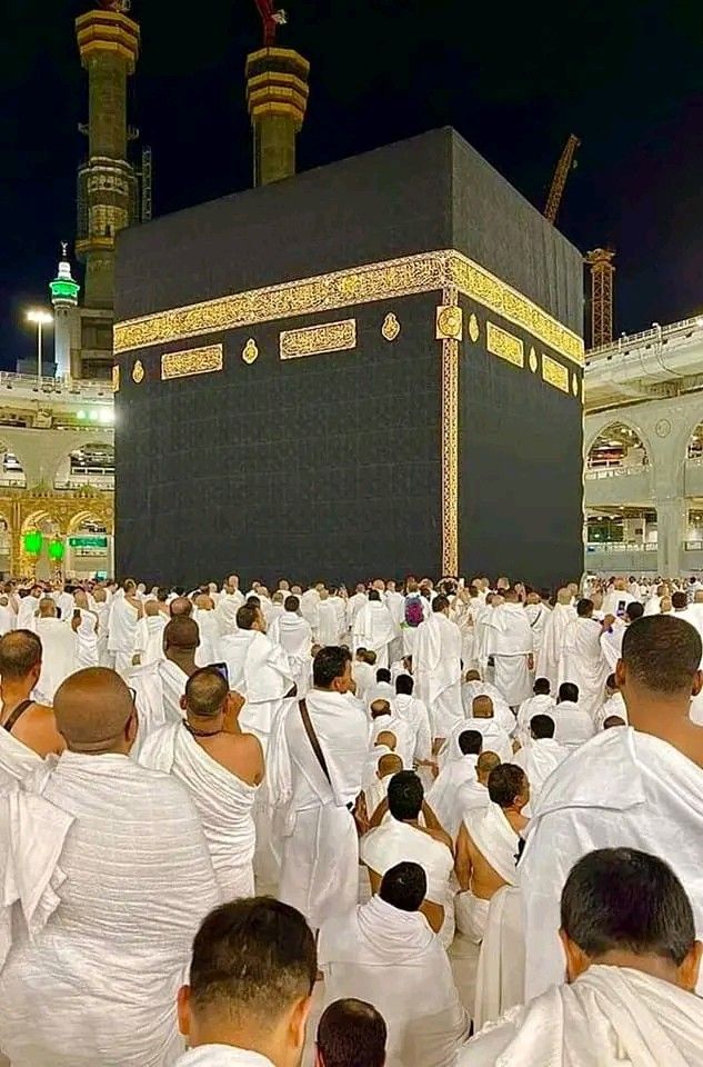 Rabia