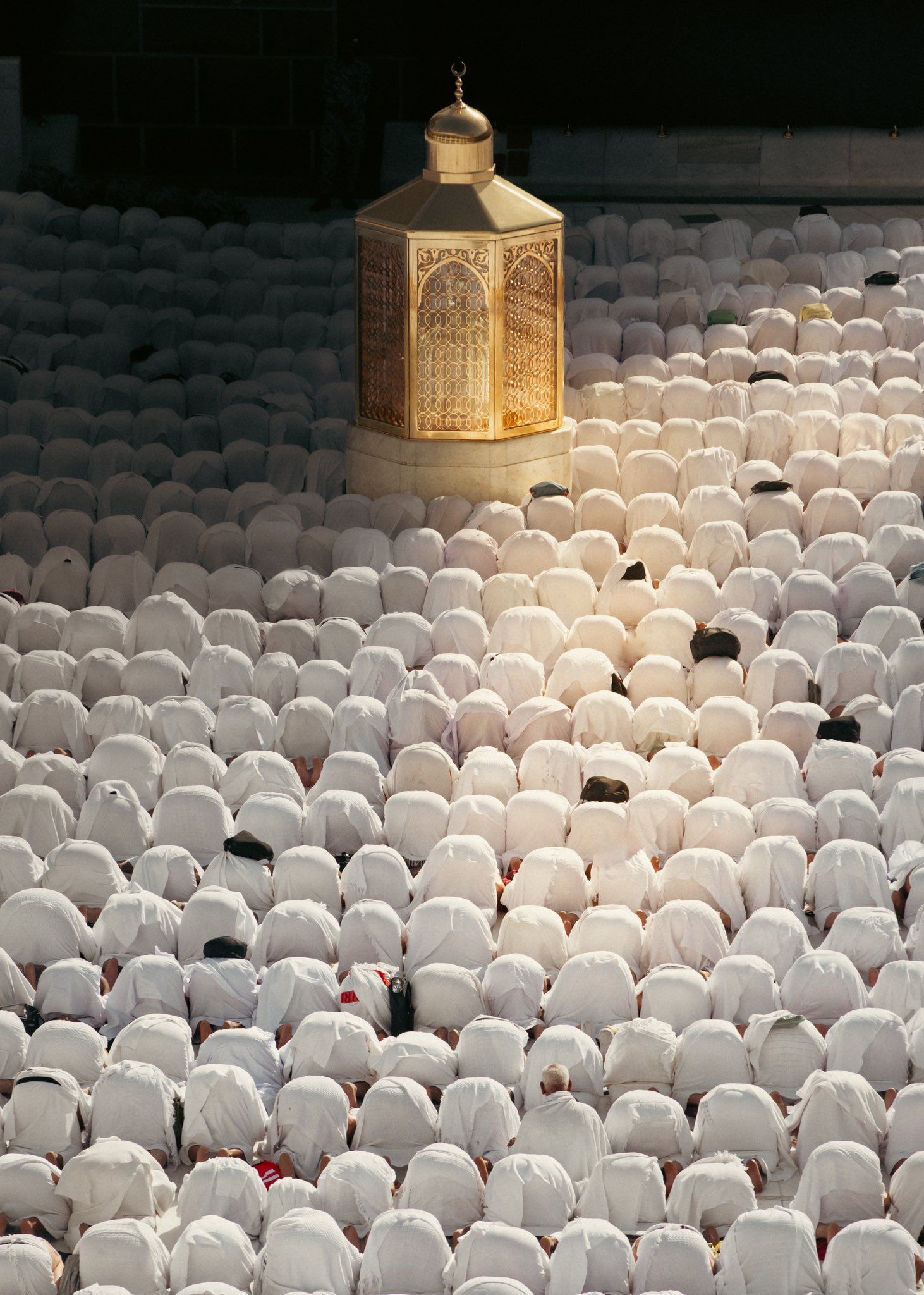 Rabia