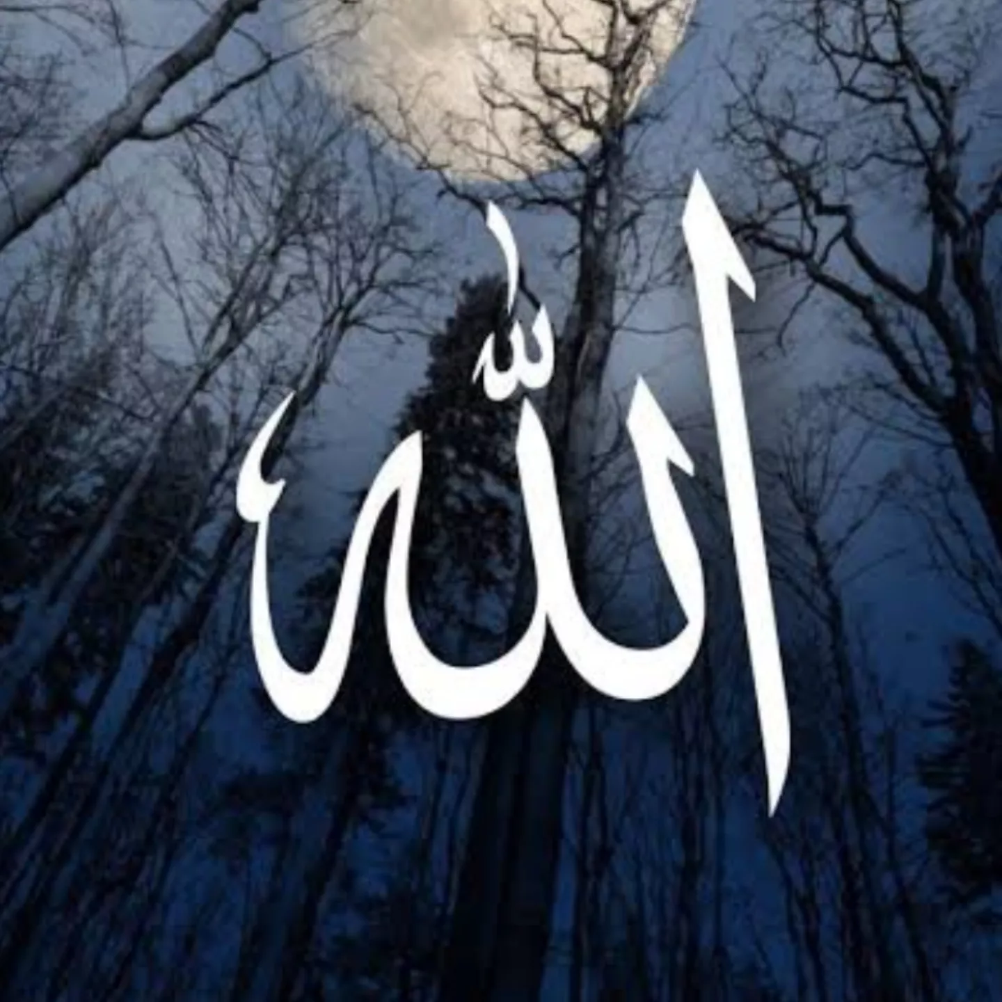 Rabia