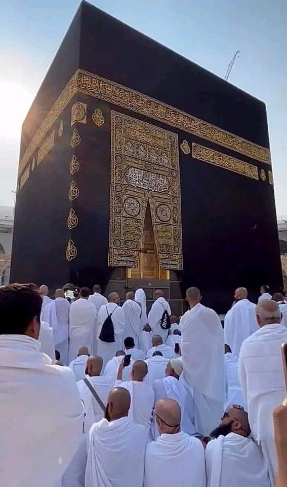 Rabia