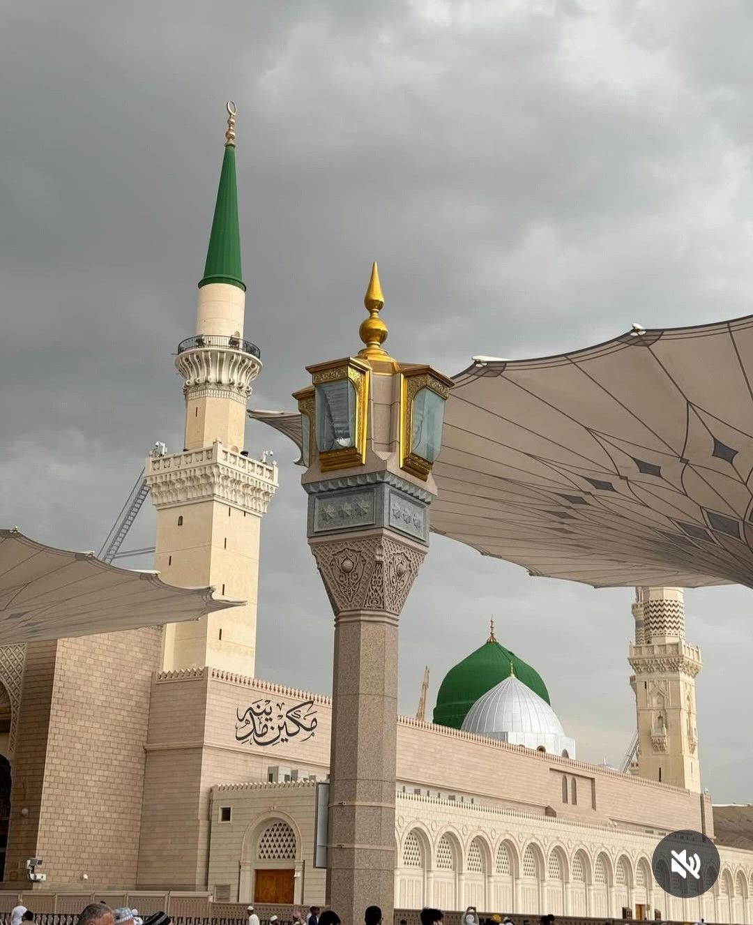 Rabia