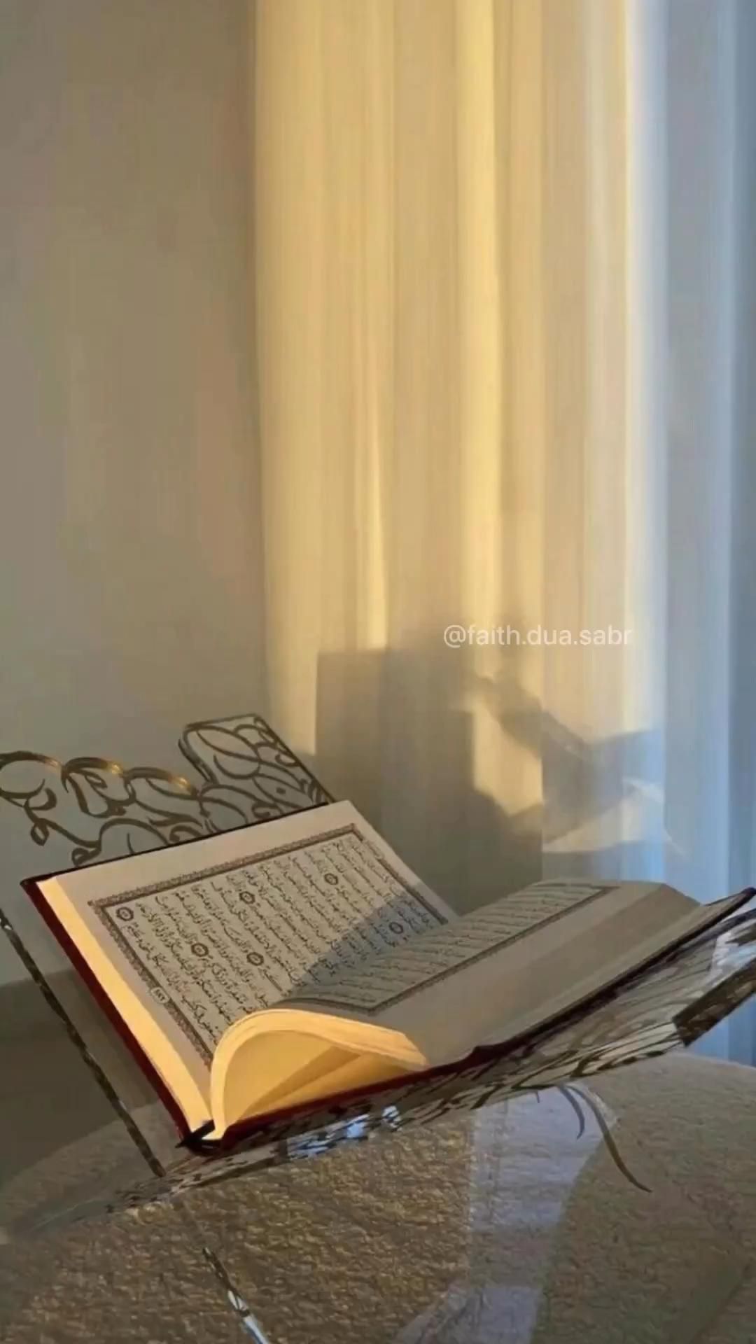Rabia