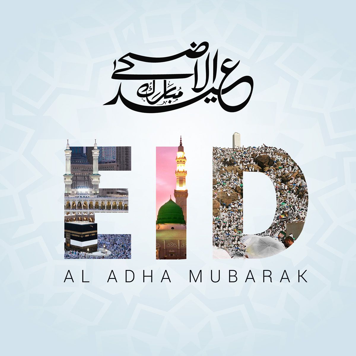 Rabia