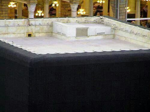 Rabia