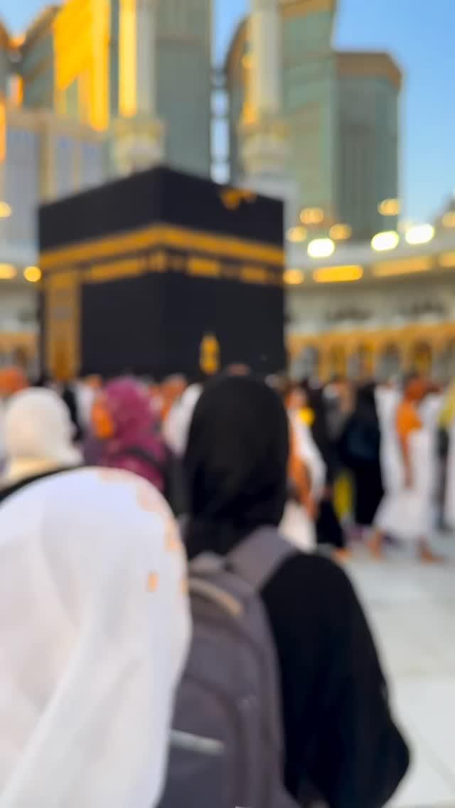 Ali
