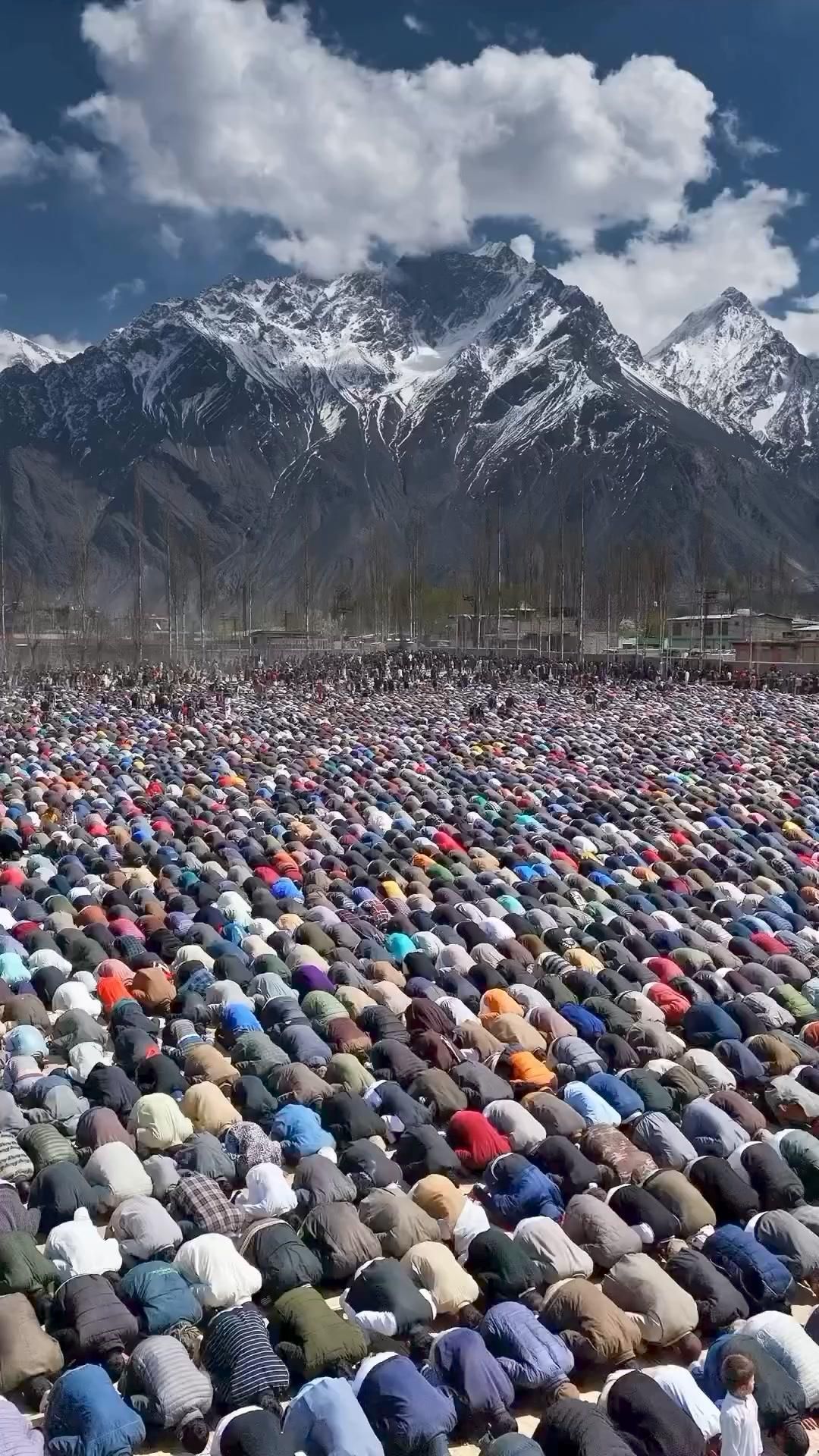 सलमान