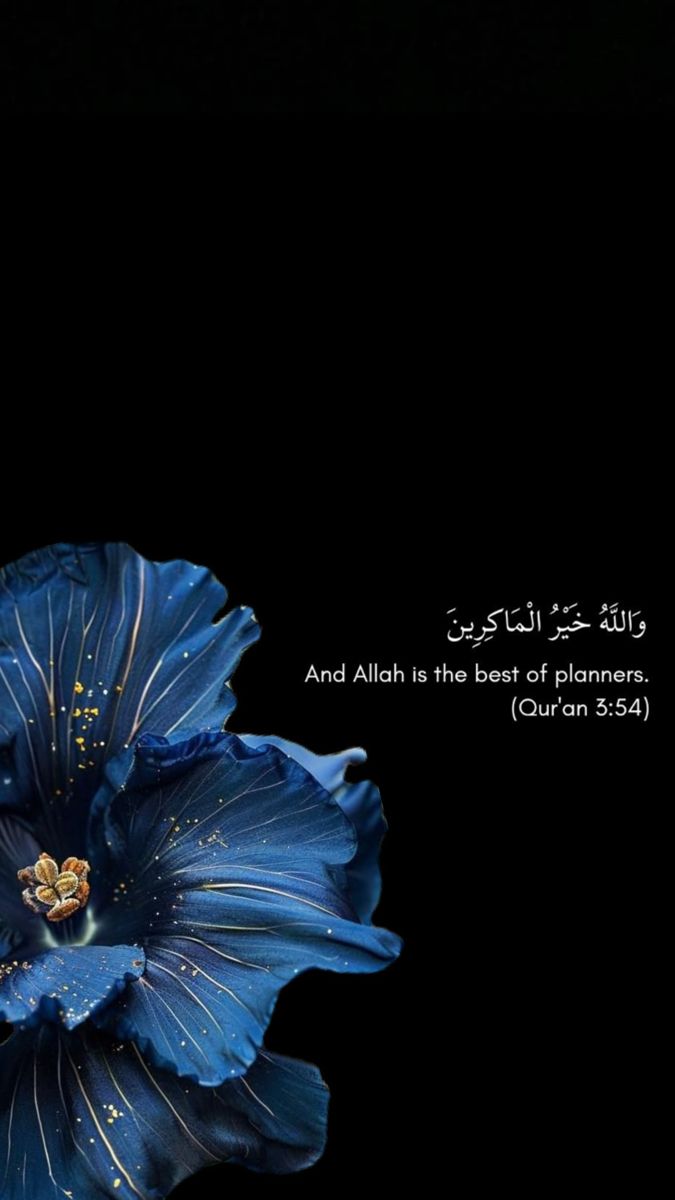 Umar